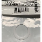 Astral Hurlcon Praher Filter Multiport Valve Washer 40/50mm 75060